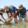 Hawaii Preparatory Academy is advancing the cause of sea turtle conservation
